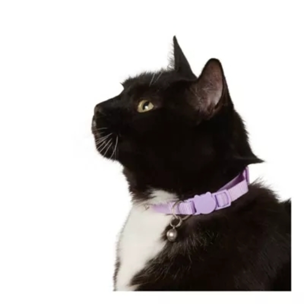 Whisker City Exclusive Lavender Purple Easy Release Adult Cat Collar 8-12in NWT